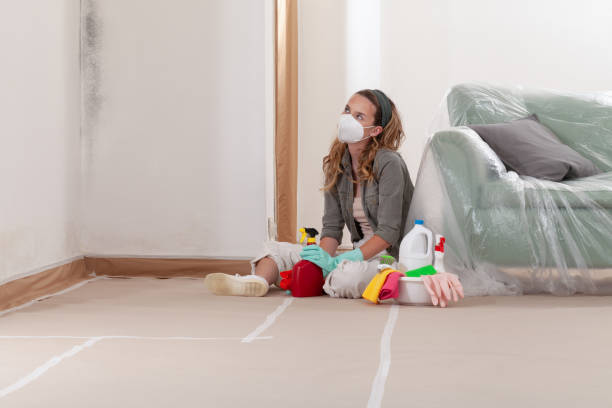 Reliable Commercial Mold Remediation contractor in Sparks Glencoe, MD by WQB Mold Removal